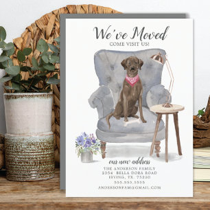 Brawn Labrador Retriever Dog   Ankündigung der Bef