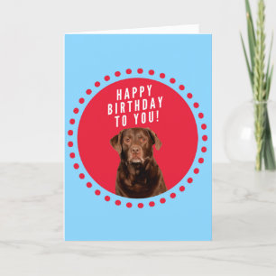 Brawn Labrador Retriever Hund Happy Birthday Card Karte