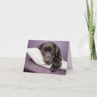 Brawn Labrador Retriever Puppy Doppy Blank Note Ca