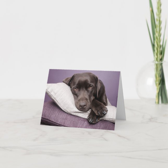 Brawn Labrador Retriever Puppy Doppy Blank Note Ca Karte (Vorderseite)