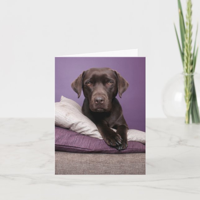 Brawn Labrador Retriever Welpe Doppy Blank Notizka Karte (Vorderseite)