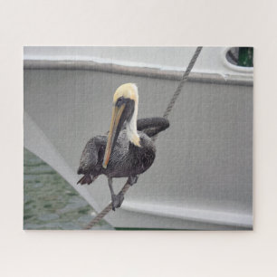 Brawn Pelican Balancing on a Rope, Florida Puzzle
