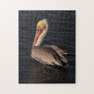 Brawn Pelican Bird Wildlife Animals Ocean Puzzle