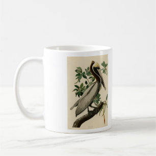 Brawn Pelican von Audubons Vögeln von Amerika Kaffeetasse