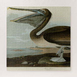 Brawn Pelican von Audubons Vögeln von Amerika Puzzle
