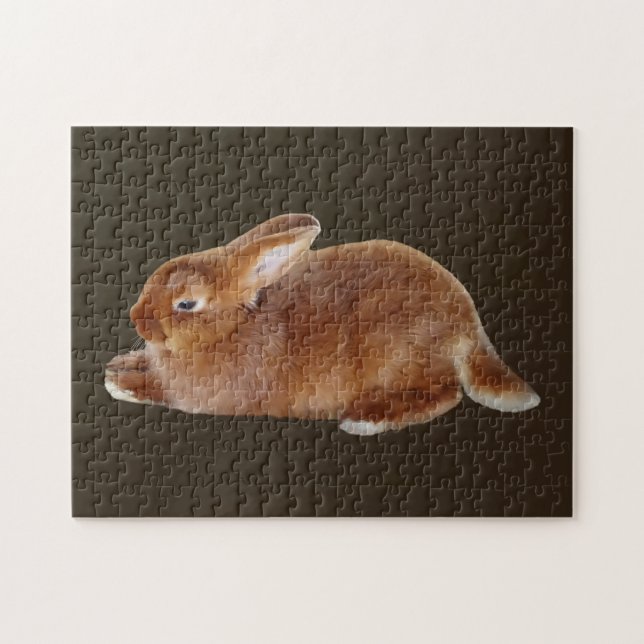 Brawn Rabbit Puzzle (Horizontal)