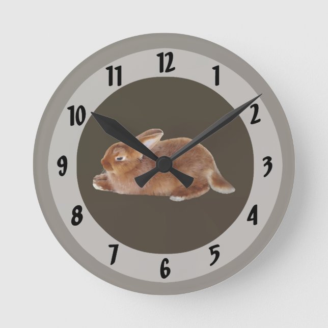 Brawn Rabbit Runde Wanduhr (Vorderseite)