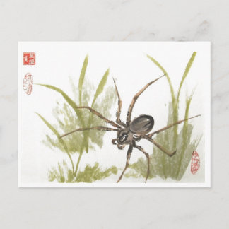 Brawn Recluse Spider on White Postkarte