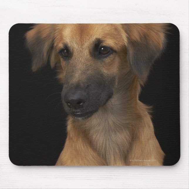 Brawn Resourhund mit schwarzer Nase auf schwarz Mousepad (Vorne)