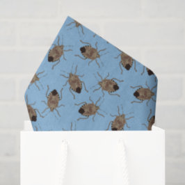Brawn Stink Bugs on Light Blue Gemustert Seidenpapier