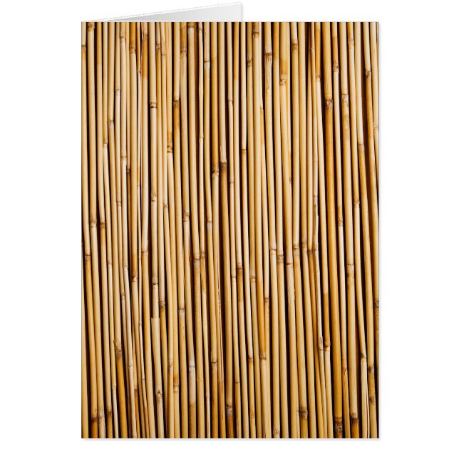 Brawn Tropical Bamboo Pflanze Botanisch (Vorne)