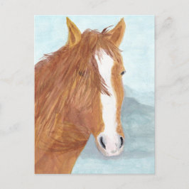 Brawn Wild Horse Blue Mountain Lake - Acryl. Postkarte