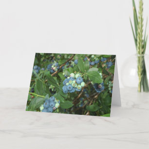 Brays Blueberries Greene Landkreis Indiana Karte