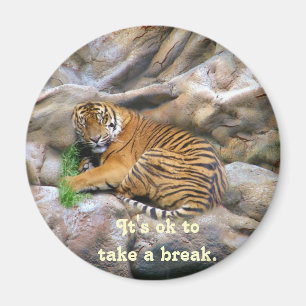 Break_Magnet Magnet