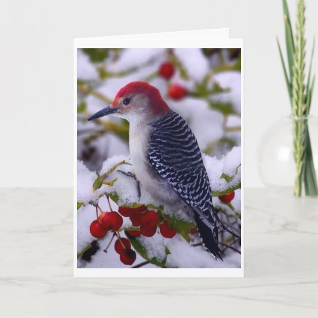 BREAK VOM TWEET, GLÜCKLICHEN GEBURTSTAG ZU SAGEN KARTE (Vorderseite)