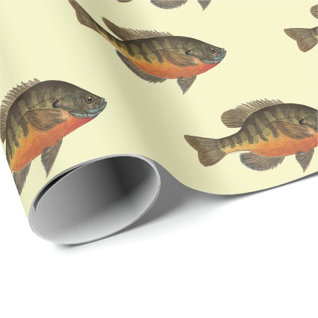 Bream, Bluegill Geschenkpapier (Rolleneckpunkt)