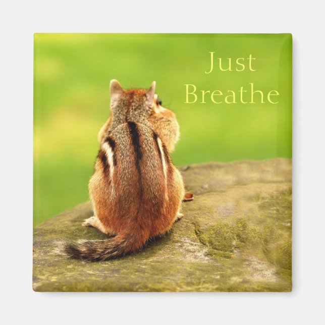 Breathe Chipmunk Magnet (Vorne)
