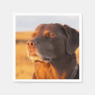 Breathe, Just Breathe Dog Napkins Serviette