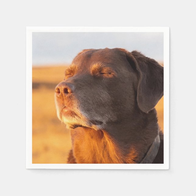 Breathe, Just Breathe Dog Napkins Serviette (Vorderseite)