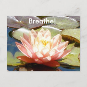 Breathe! Lotus Postcard Postkarte