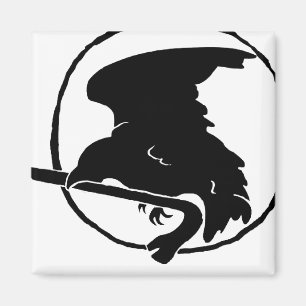 Brechstangen-Magnet schwarz/Weiß, um und Quadrat Magnet