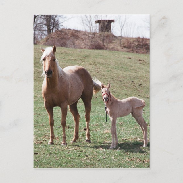 Bree & Jac Postkarte (Vorderseite)