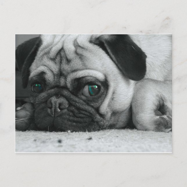 Breena pic postkarte (Vorderseite)