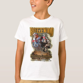 Breezewood Kleid T-Shirt