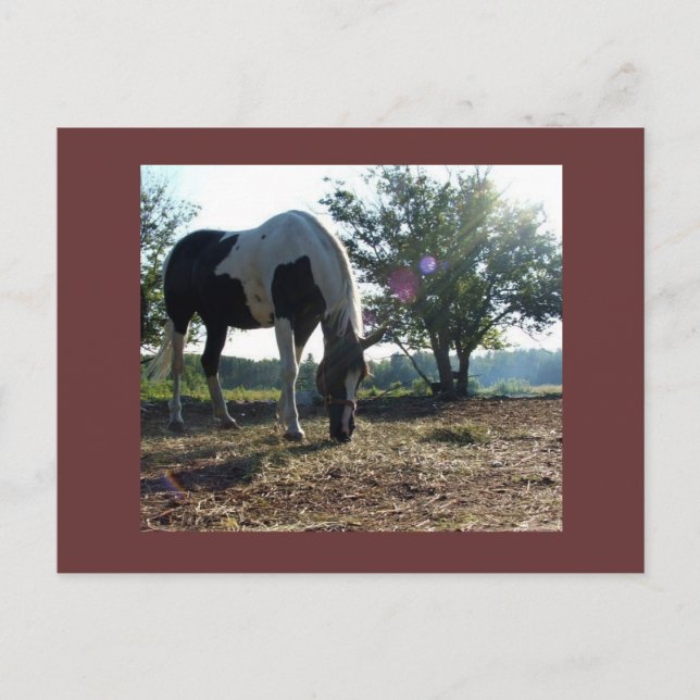 Breezysunbams Postkarte (Vorderseite)