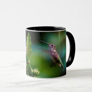 breit tasse