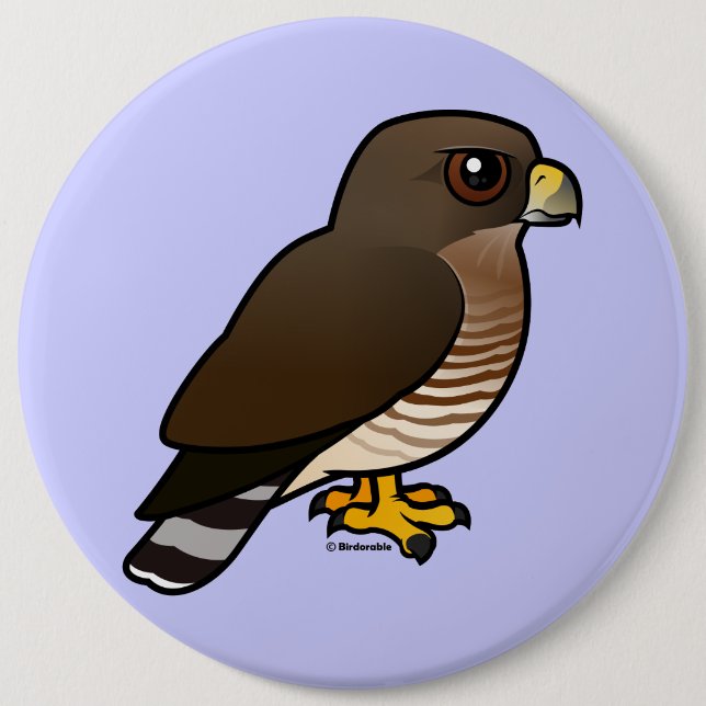 Breit-winged Falke Button (Vorderseite)