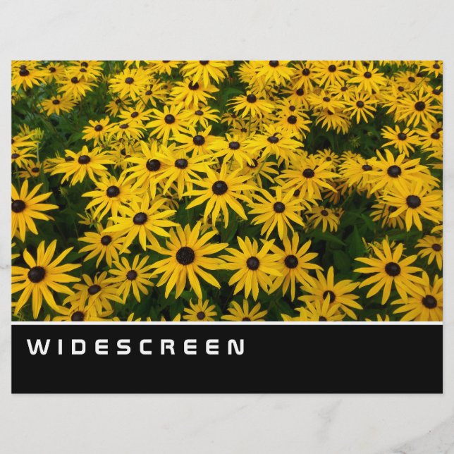 Breitbild - Susans mit den schwarzen Augen Flyer (Vorne)