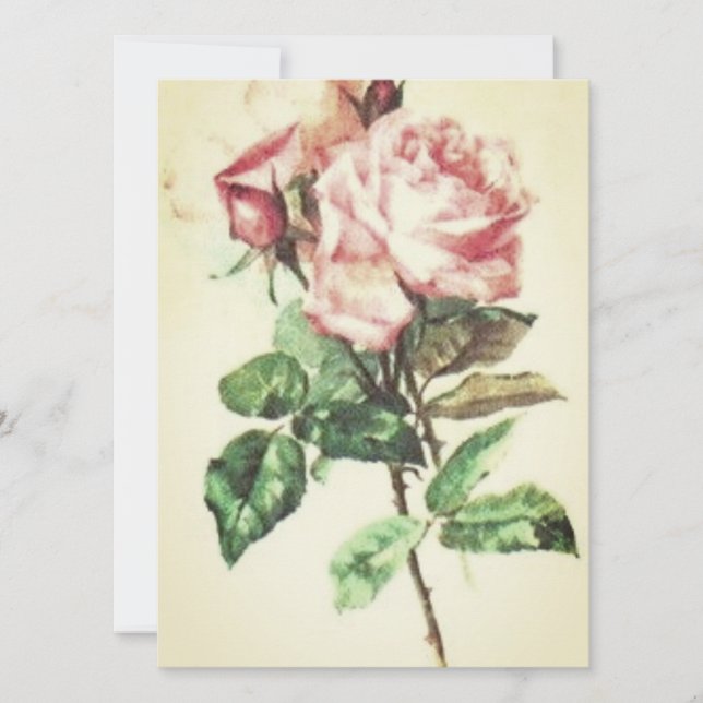 BREITE TAGESEINLADUNG (Vorderseite)