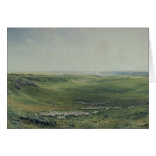 Breite Weiden, Sussex