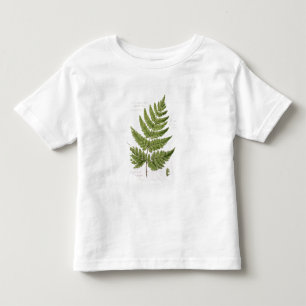 Breiter Stachelig-gezahnter Stopfen-Farn, gemalt Kleinkind T-shirt