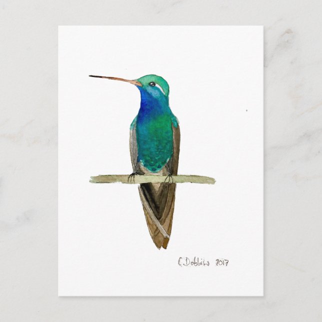 Breitschnabelkolibri Postkarte (Vorderseite)