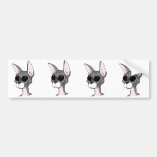 Bremsspur der Katzen-Autoaufkleber Autoaufkleber