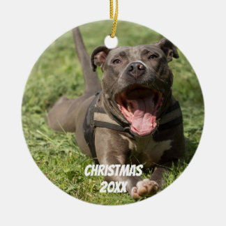 Brennbarer, roter Pitbull im Gras Keramik Ornament
