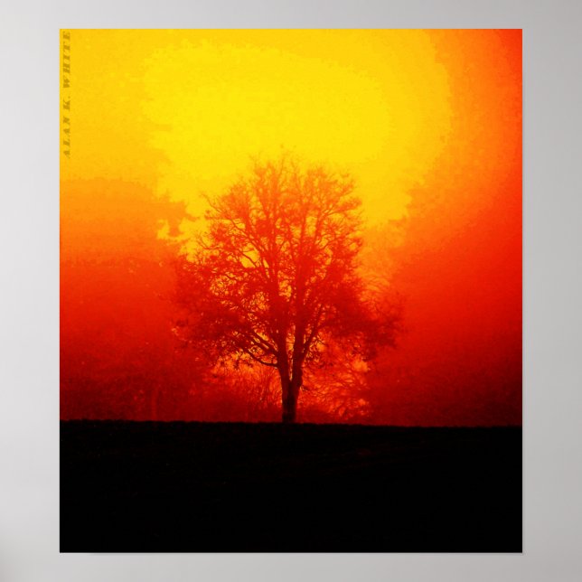 Brennbaum Poster (Vorne)