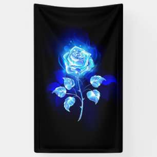 Brennen der blauen Rose Banner