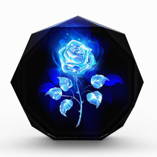 Brennen der blauen Rose Fotoblock