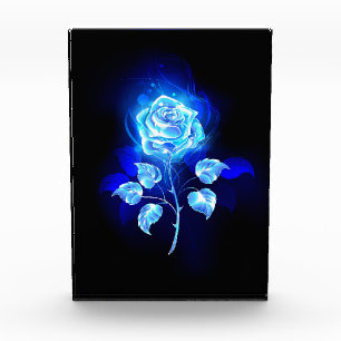 Brennen der blauen Rose Fotoblock