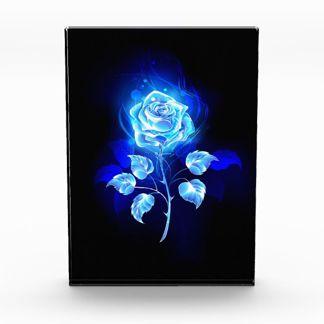 Brennen der blauen Rose Fotoblock (Vorderseite)