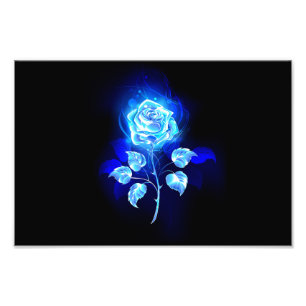 Brennen der blauen Rose Fotodruck