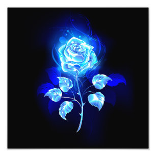 Brennen der blauen Rose Fotodruck