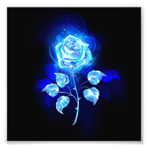 Brennen der blauen Rose Fotodruck