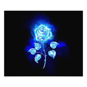 Brennen der blauen Rose Fotodruck
