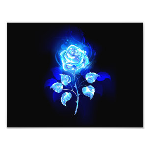 Brennen der blauen Rose Fotodruck