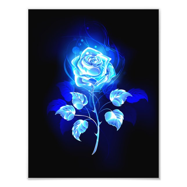 Brennen der blauen Rose Fotodruck (Vorne)