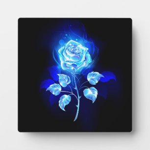 Brennen der blauen Rose Fotoplatte